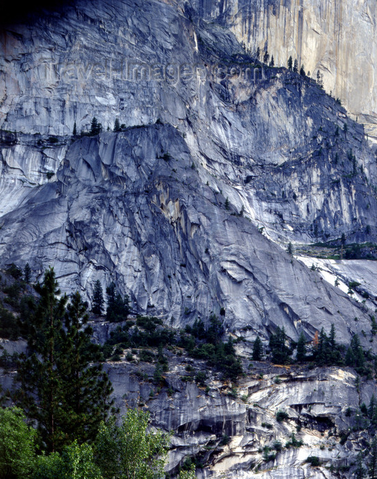 usa845: Yosemite National Park (California): El Capitan - large granite monolith - photo by J.Fekete - (c) Travel-Images.com - Stock Photography agency - Image Bank