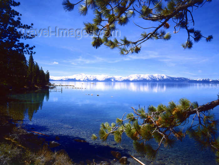 usa848: Lake Tahoe (California): view with branches of pine tree and snow covered mountains in background - Sierra Nevada - photo by J.Fekete - (c) Travel-Images.com - Stock Photography agency - Image Bank