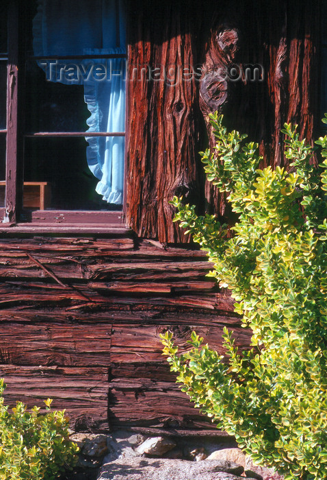 usa935: Pennsylvania, USA: detail of a log cabin with window and plant - photo by J.Fekete - (c) Travel-Images.com - Stock Photography agency - Image Bank