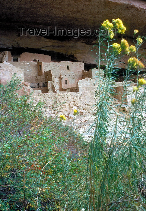 usa937: Mesa Verde National Park, Colorado, USA: Pueblo / Anasazi Indian ruins - Unesco world heritage site - Cliff Palace - photo by  J.Fekete - (c) Travel-Images.com - Stock Photography agency - Image Bank