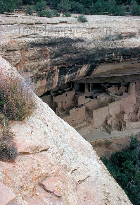usa938: Mesa Verde National Park, Colorado, USA: Pueblo  Indian ruins - Cliff Palace is the largest cliff dwelling in North America - Unesco world heritage site - photo by  J.Fekete - (c) Travel-Images.com - Stock Photography agency - Image Bank