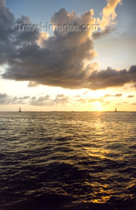 usa95: Key West / EYW (Florida): sunset - Monroe County (photo by Nacho Cabana) - (c) Travel-Images.com - Stock Photography agency - Image Bank