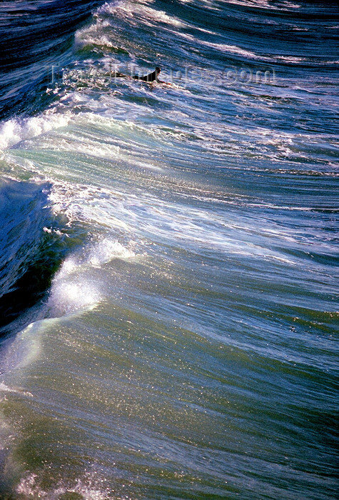 usa962: USA - California: surfer waiting for a wave - surfing - photo by J.Fekete - (c) Travel-Images.com - Stock Photography agency - Image Bank