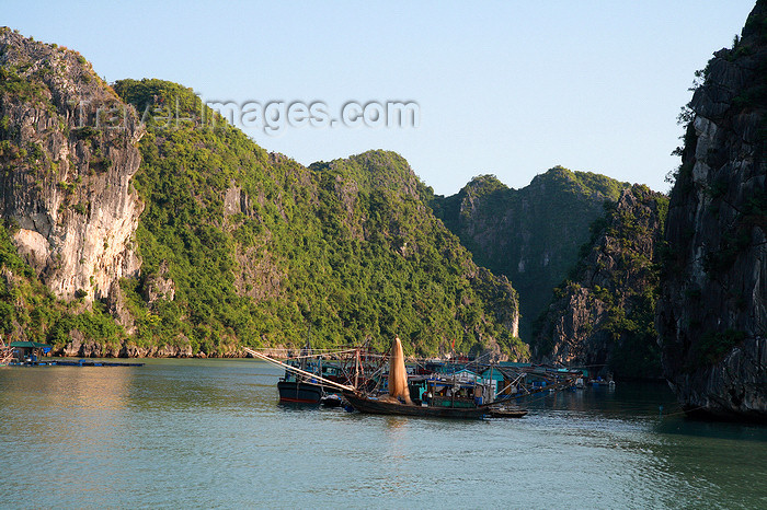 vietnam102: Halong Bay - Vietnam: floating fishing village - photo by Tran Thai - (c) Travel-Images.com - Stock Photography agency - Image Bank