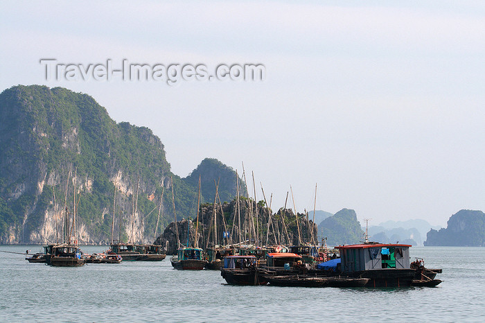vietnam127: Halong Bay - Vietnam: fishing boats rest - photo by Tran Thai - (c) Travel-Images.com - Stock Photography agency - Image Bank