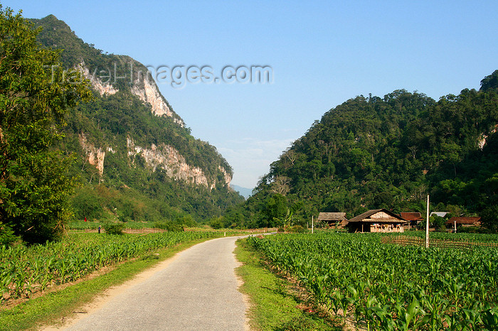 vietnam137: Ba Be National Park - Vietnam: rural road and maize field - photo by Tran Thai - (c) Travel-Images.com - Stock Photography agency - Image Bank