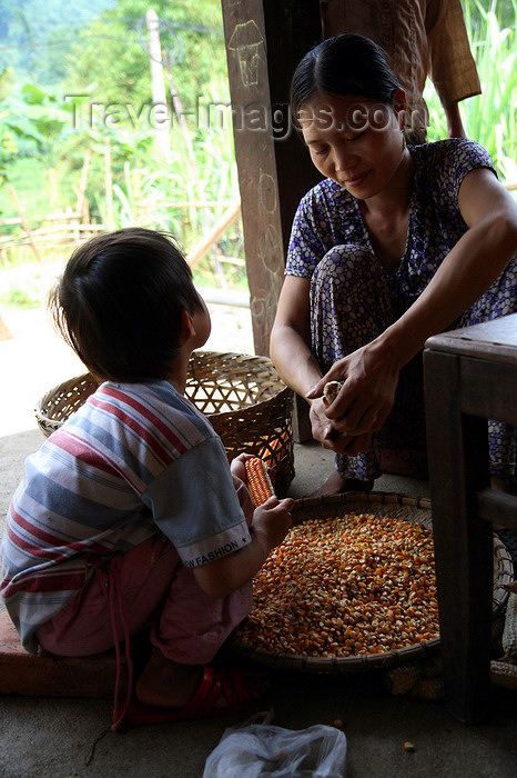 vietnam149: Ba Be National Park - Vietnam: girl helping her mother plucking corn-kernel - photo by Tran Thai - (c) Travel-Images.com - Stock Photography agency - Image Bank