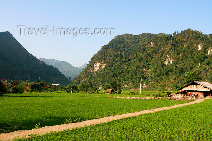 vietnam164: Ba Be National Park - Vietnam: small house in the middle of a rice field - photo by Tran Thai - (c) Travel-Images.com - Stock Photography agency - Image Bank