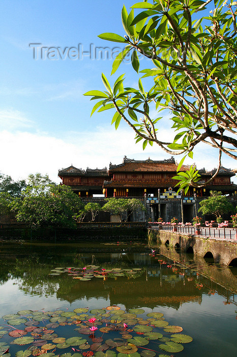 vietnam174: Hue - Vietnam: Royal Citadel - causeway and water-lillies on the moat - photo by Tran Thai - (c) Travel-Images.com - Stock Photography agency - Image Bank