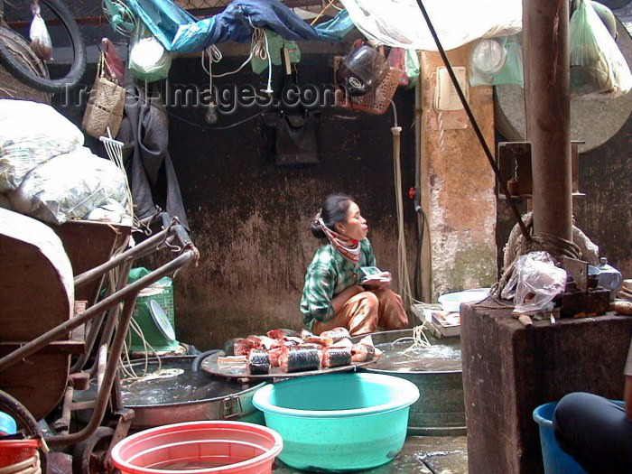 vietnam60: Hanoi - Vietnam: woman selling fish - photo by Robert Ziff - (c) Travel-Images.com - Stock Photography agency - Image Bank