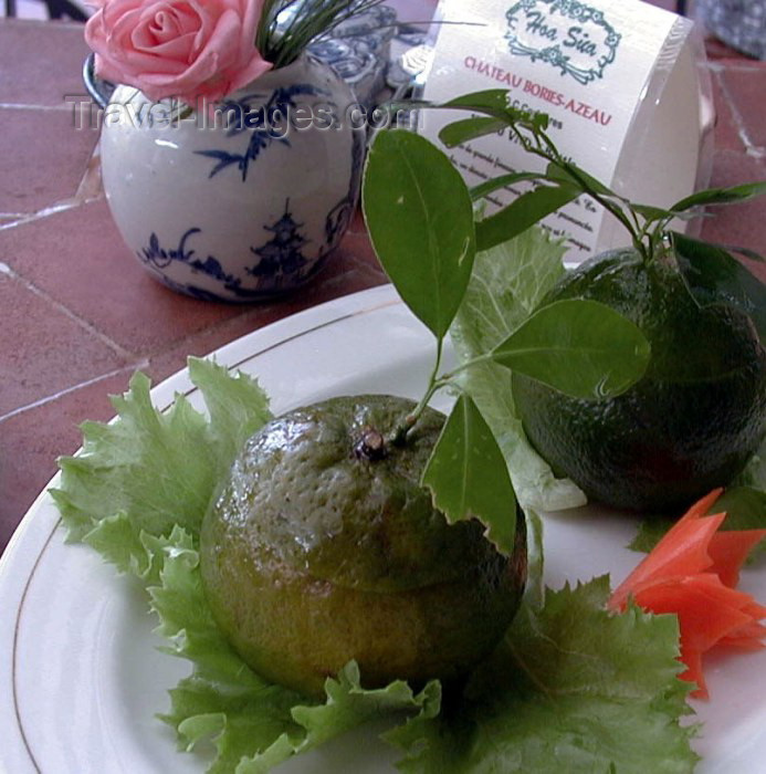 vietnam61: Hanoi - Vietnam: Hoa Sua Duck stew in green oranges - Vietnamese cuisine - photo by Robert Ziff - (c) Travel-Images.com - Stock Photography agency - Image Bank