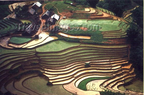 vietnam71: H'mong country - Lao Cai Province - northeast region: village and rice paddies - photo by W.Schipper - (c) Travel-Images.com - Stock Photography agency - Image Bank