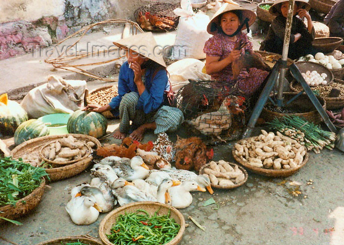 vietnam76: Vietnam - Danang / Tourane: ducks at the market - photo by G.Frysinger - (c) Travel-Images.com - Stock Photography agency - Image Bank