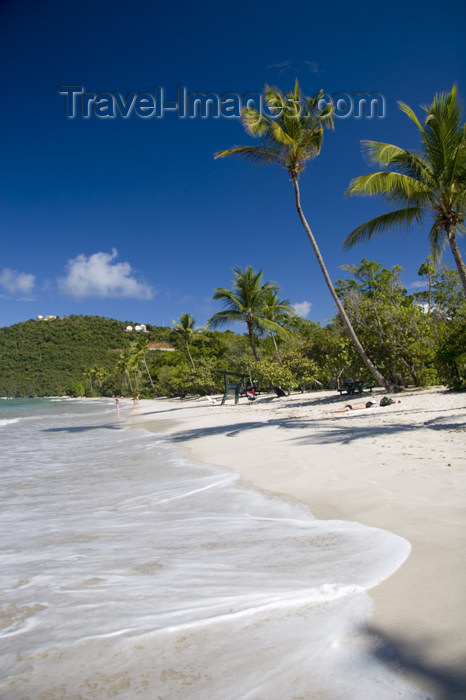 virgin-us47: US Virgin Islands - St. Thomas - Magens Bay: beach - white sand and coconut trees (photo by David Smith) - (c) Travel-Images.com - Stock Photography agency - Image Bank