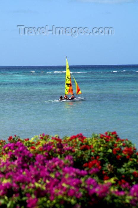 virgin-us68: USVI - St. Thomas - sailboat, blue ocean, and purple flowers - colorful wind sail - photo by G.Friedman - (c) Travel-Images.com - Stock Photography agency - Image Bank