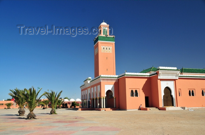 western-sahara107: Laâyoune / El Aaiun, Saguia el-Hamra, Western Sahara: palm trees and Moulay Abdel Aziz Great Mosque - photo by M.Torres - (c) Travel-Images.com - Stock Photography agency - Image Bank