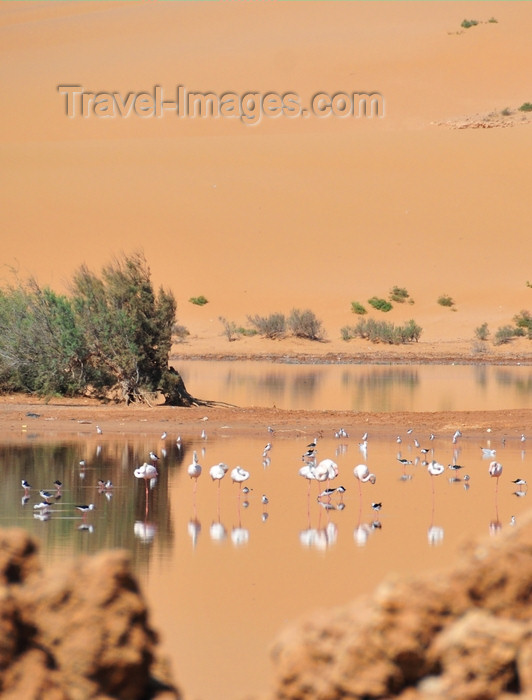 (c) Travel-Images.com - Stock Photography agency - the Global Image Bank