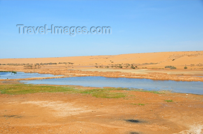 western-sahara48: Laâyoune / El Aaiun, Saguia el-Hamra, Western Sahara: Oued Saqui el-Hamra - seasonal river - photo by M.Torres - (c) Travel-Images.com - Stock Photography agency - Image Bank