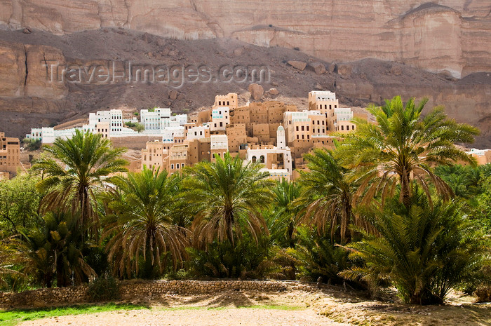 yemen67: Wadi Hadhramaut, Hadhramaut Governorate, Yemen: traditional Arabian peninsula village with date palms -  fertile oasis - photo by J.Pemberton - (c) Travel-Images.com - Stock Photography agency - Image Bank