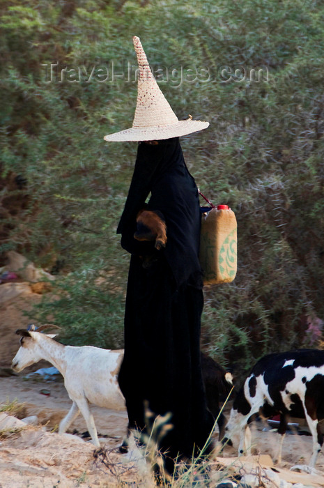 yemen74: Wadi Hadhramaut, Hadhramaut Governorate, Yemen: local woman tending goats - she carries a baby goat and a jerry-can and wears an abaya and a madhalla conical hat, made of dried palm leaves - photo by J.Pemberton - (c) Travel-Images.com - Stock Photography agency - Image Bank