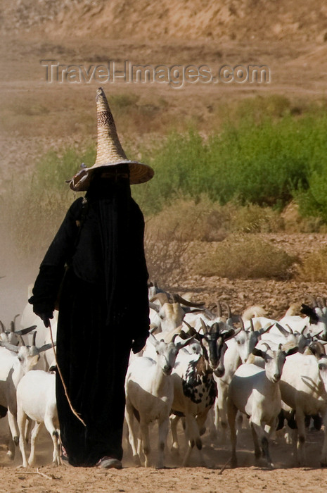 yemen76: Wadi Hadhramaut, Hadhramaut Governorate, Yemen: local woman leading a trip of goats - abaya and madhalla conical hat - niqab dress - photo by J.Pemberton - (c) Travel-Images.com - Stock Photography agency - Image Bank