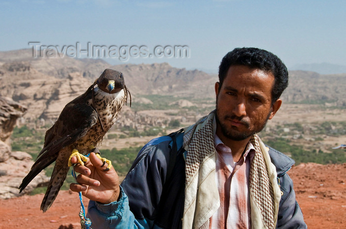 yemen8: Wadi Dhahr, Al-Mahwit Governorate, Yemen: man with falcon, valley in the background - falconry - falconer - huntsman - photo by J.Pemberton - (c) Travel-Images.com - Stock Photography agency - Image Bank