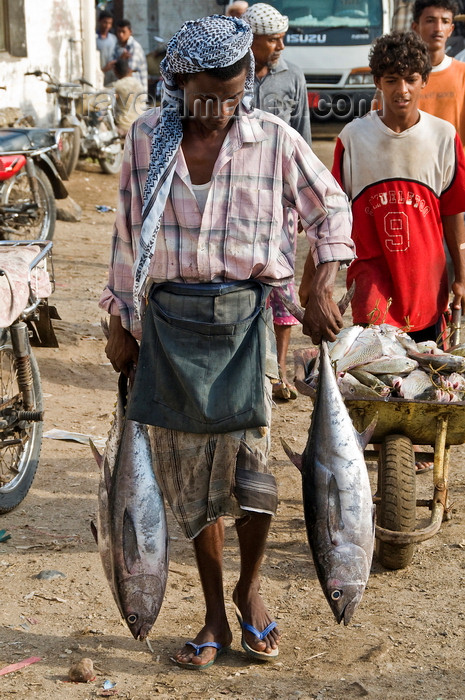 yemen86: Al Hudaydah / Hodeida, Yemen: man carrying tuna for the morning fish market - photo by J.Pemberton - (c) Travel-Images.com - Stock Photography agency - Image Bank