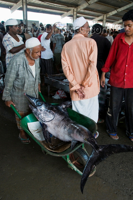 yemen91: Al Hudaydah / Hodeida, Yemen: transporting a large Swordfish in a wheelbarrow - morning fish market. - photo by J.Pemberton - (c) Travel-Images.com - Stock Photography agency - Image Bank