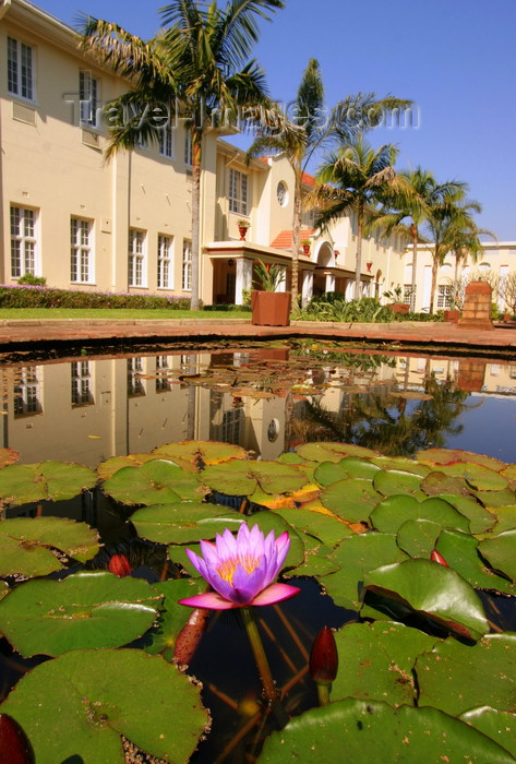 zimbabwe10: Victoria Falls, Matabeleland North province, Zimbabwe: Victoria Falls Hotel - waterlily pond - photo by R.Eime - (c) Travel-Images.com - Stock Photography agency - Image Bank