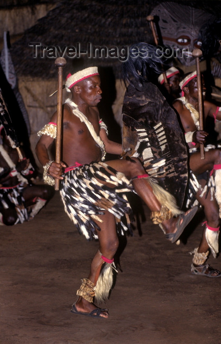 zimbabwe30: Matabeleland North province, Zimbabwe: Zulu war dance - a Northern Ndebele tribal dancer displays his fierceness and wears animal skins - Matabele - photo by C.Lovell - (c) Travel-Images.com - Stock Photography agency - Image Bank