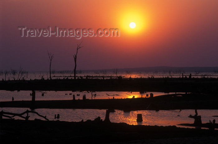 zimbabwe33: Lake Kariba, Mashonaland West province, Zimbabwe: sunset and dead trees - drowned forest - photo by C.Lovell - (c) Travel-Images.com - Stock Photography agency - Image Bank