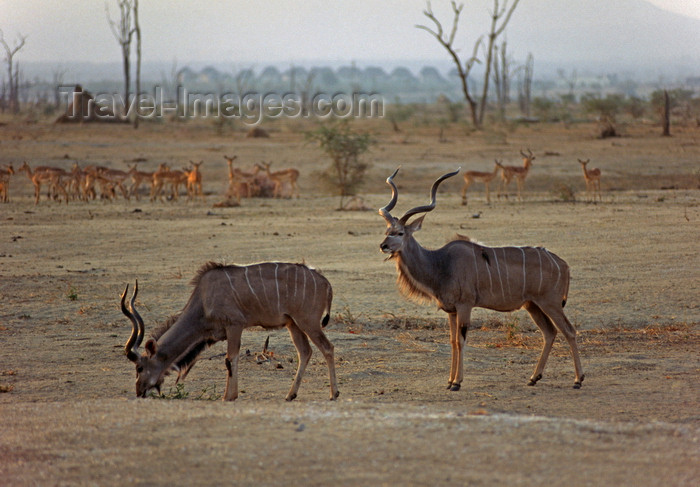 (c) Travel-Images.com - Stock Photography agency - the Global Image Bank