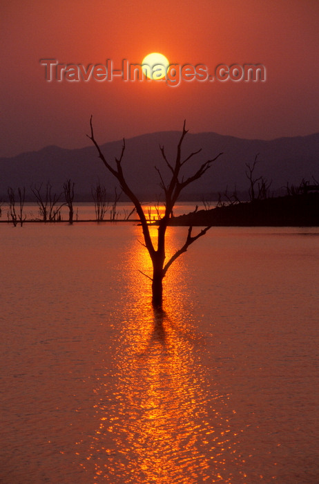 zimbabwe37: Lake Kariba, Mashonaland West province, Zimbabwe: spectacular watery sunset- silhouette of trees in an area flooded 50 years ago when the Kariba dam was built - photo by C.Lovell - (c) Travel-Images.com - Stock Photography agency - Image Bank