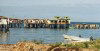 Papua New Guinea - Port Moresby: homes built on pilings - stilts (photo by G.Frysinger)