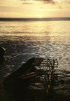 Papua New Guinea - Nivani Island - Louisiade Archipelago: at sundown (photo by G.Frysinger)