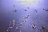 PNG - Papua New Guinea - Outrigger canoes next to cruise ship, Ali Island (photo by B.Cain)