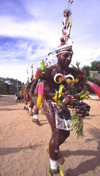 PNG - Papua New Guinea - Row of colorful dancers, Tuam Island - photo by B.Cain