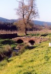 Tliga: ponte Romana / Roman bridge  puente romano