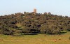 So Jorge de Alor: torre de vigia / ancient watch tower