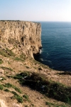 Portugal - Algarve - Cape St. Vincent: the cliffs / escarpa - photo by M.Durruti