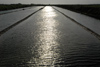 Tavira - Algarve - Portugal - sun and saltpans - sol e salinas - photo by M.Durruti