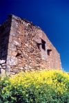 Castelo Rodrigo: flores e ruinas / flowers and ruins - photo by M.Durruti