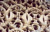 Portugal - Batalha: lacework in stone - the convent - rendas em pedra - convento de Nossa Senhora da Vitria - Patrimonio da Humanidade - Unesco - photo by M.Durruti