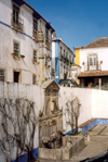 bidos, Portugal: fountain and pillory - Santa Maria square - fonte e pelourinho - Largo de Santa Maria e Rua Direita - photo by M.Durruti)