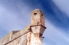 Portugal - Cascais: gurita nas muralhas da Cidadela / walls of the Citadel - photo by M.Durruti