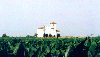 Portugal - Azinhaga (Concelho da Goleg): igreja nos  milharais / church in the corn fields - photo by M.Durruti