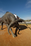 Portugal - Moita: bullfighting monument - bull statue / touro - toiro - Monumento  Tauromaquia - escultor Rui Fernandes - photo by M.Durruti