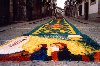 Portugal - Ponte de Lima: a carpet of flowers - tapete de flores - photo by M.Durruti