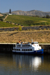 Carneiro (Lamego): cruise boat, vineyards and Sandeman's iconic symbol - Douro river valley - barco de cruzeiros no douro - vinhas e o iconico simbolo do Porto Sandeman - vale do Douro - photo by M.Durruti