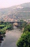 Valena do Douro (Tabuao): river Torto estuary / foz do rio Torto - photo by M.Durruti